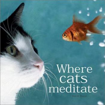 Hardcover Where Cats Meditate Book