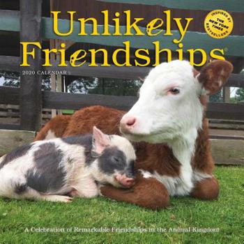 Calendar Unlikely Friendships Wall Calendar 2020 Book