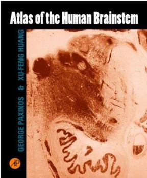 Paperback Atlas of the Human Brainstem Book