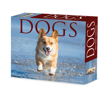 Calendar Dogs 2023 Box Calendar Book