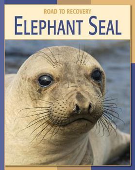 Library Binding Elephant Seal Book