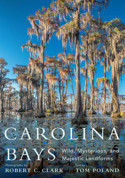 Hardcover Carolina Bays: Wild, Mysterious, and Majestic Landforms Book