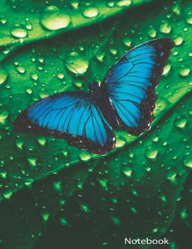 Paperback Notebook: 8.5 x 11 150 Pages Butterfly and Raindrops on Leaf Book