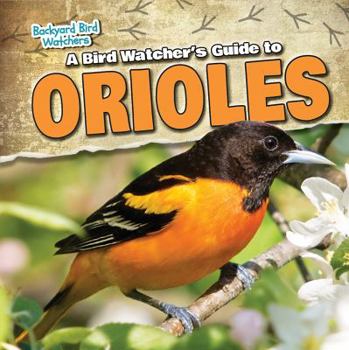 Paperback A Bird Watcher's Guide to Orioles Book