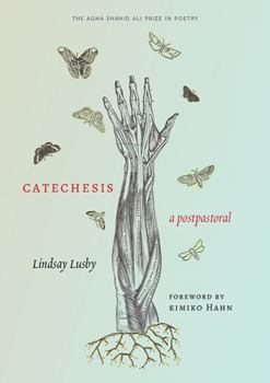 Paperback Catechesis: A Postpastoral Book