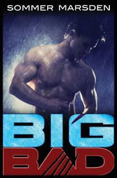 Big Bad - Book #1 of the Big Bad