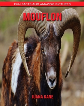 Mouflon: Fun Facts and Amazing Pictures