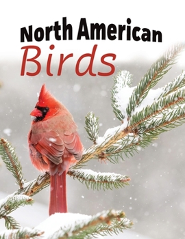 Paperback North American Birds [Large Print] Book