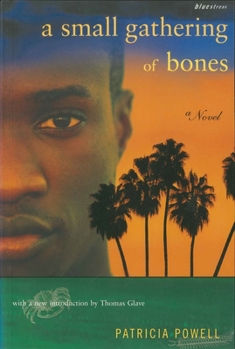 Paperback A Small Gathering of Bones Book