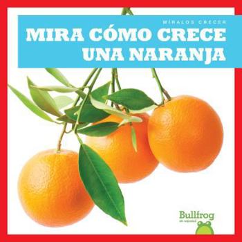 Library Binding Mira Cómo Crece Una Naranja (Watch an Orange Grow) Book