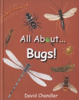 Hardcover All about Bugs. David Chandler Book