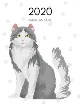 Paperback 2020: Dated Weekly Planner With To Do Notes & Cat Quotes - American Curl Book