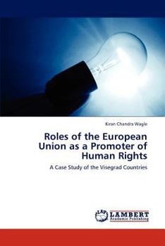 Roles of the European Union as a Promoter of Human Rights: A Case Study of the Visegrad Countries