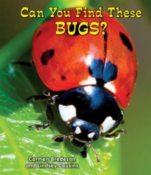 Can You Find These Bugs? - Book  of the All About Nature
