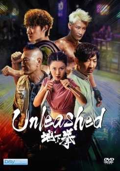 DVD Unleashed Book
