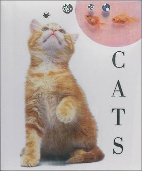 Hardcover Cats Book