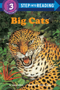 Library Binding Big Cats Book