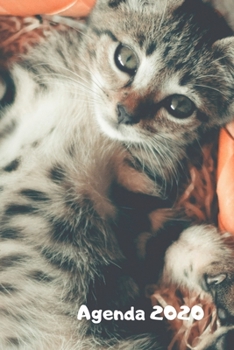 Agenda 2020: Hebdomadaire 1 Semaine par page Format A5 | Janvier 2020 à Décembre 2020 | Planificateur Organiseur Semainier avec Calendrier et Carnet ... Pour les Amoureux des Chats (French Edition)
