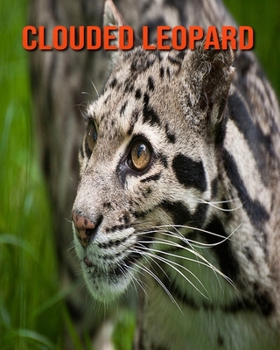 Clouded Leopard: Amazing Facts about Clouded Leopard