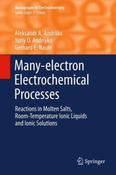 Hardcover Many-Electron Electrochemical Processes: Reactions in Molten Salts, Room-Temperature Ionic Liquids and Ionic Solutions Book