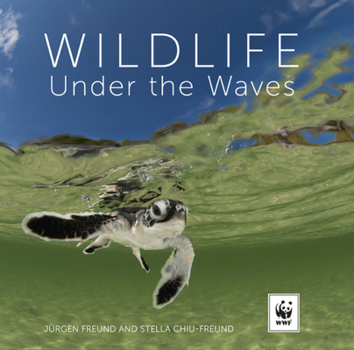 Hardcover Wildlife Under the Waves Book
