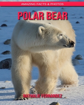 Paperback Polar bear: Amazing Facts & Photos Book