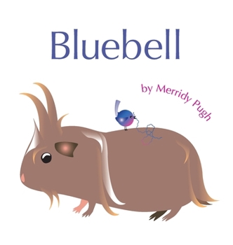 Hardcover Bluebell Book