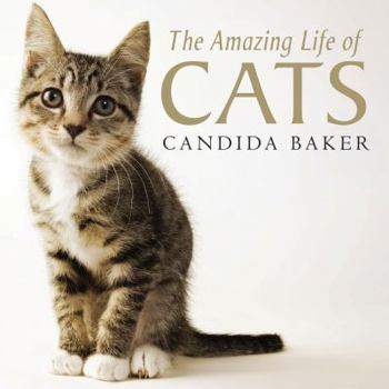 Paperback The Amazing Life of Cats Book