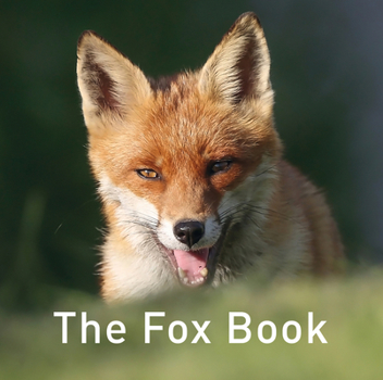 Hardcover The Fox Book