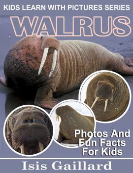 Paperback Walrus: Photos and Fun Facts for Kids (Kids Learn With Pictures) Book