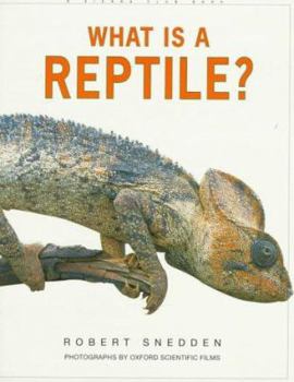 Paperback What Is a Reptile? Book