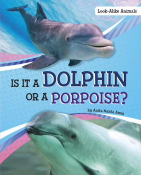 Hardcover Is It a Dolphin or a Porpoise? Book