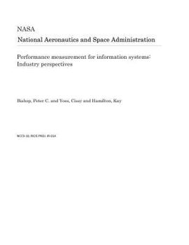 Performance Measurement for Information Systems: Industry Perspectives