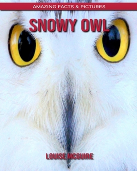 Snowy Owl: Amazing Facts & Pictures
