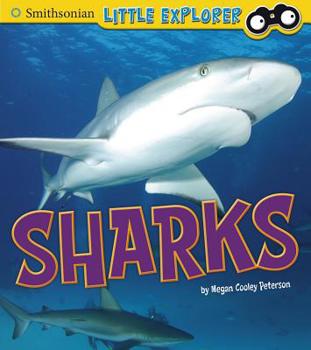 Paperback Sharks Book
