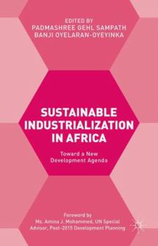 Hardcover Sustainable Industrialization in Africa: Towards a New Development Agenda Book