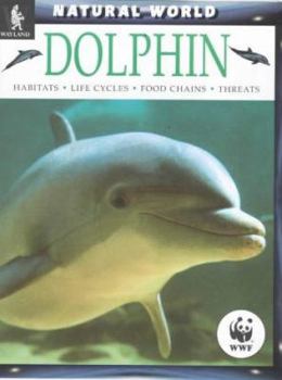 Paperback Dolphins Book