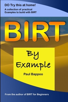 Paperback BIRT by Example Book