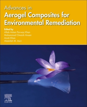 Paperback Advances in Aerogel Composites for Environmental Remediation Book