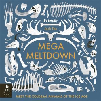 Paperback Mega Meltdown Book