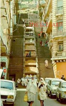 Paperback The Blédard: >AliBaba +213 [French] Book