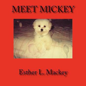 Paperback Meet Mickey Book