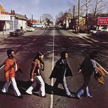 Vinyl McLemore Avenue Book