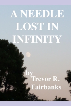 Paperback A Needle Lost in Infinity Book