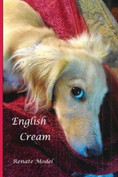 Paperback English Cream Book