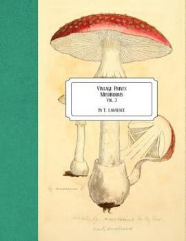 Paperback Vintage Prints: Mushrooms: Vol. 3 Book