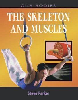 Muscles and Skeletons (Our Bodies) - Book  of the Our Bodies