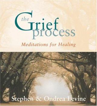 Hardcover The Grief Process: Meditations for Healing [With Study Guide] Book