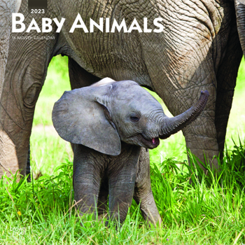 Calendar Baby Animals 2023 Square Book
