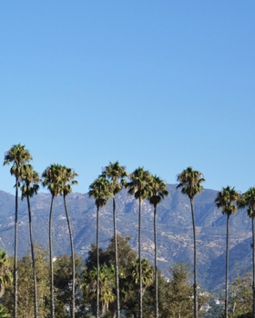 Journal: 200 Dot Grid Sheets, 8x10 Inches, Palm Trees in Santa Barbara, Plan Your Day and Organize Your Life, Tracker, Productivity Diary, Sketch Book, For Visual Thinkers & Planners